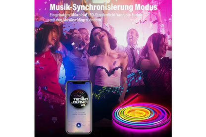 Bluetooth/Rgbic LED Neon Light Strip/32.8Ft/Music Sync
