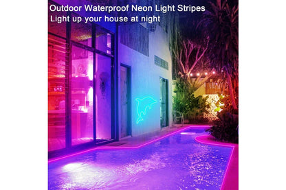 Bluetooth/Rgbic LED Neon Light Strip/32.8Ft/Music Sync